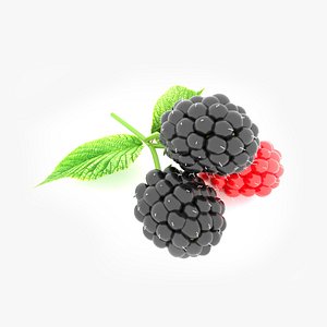 3D blackberry corona setup model