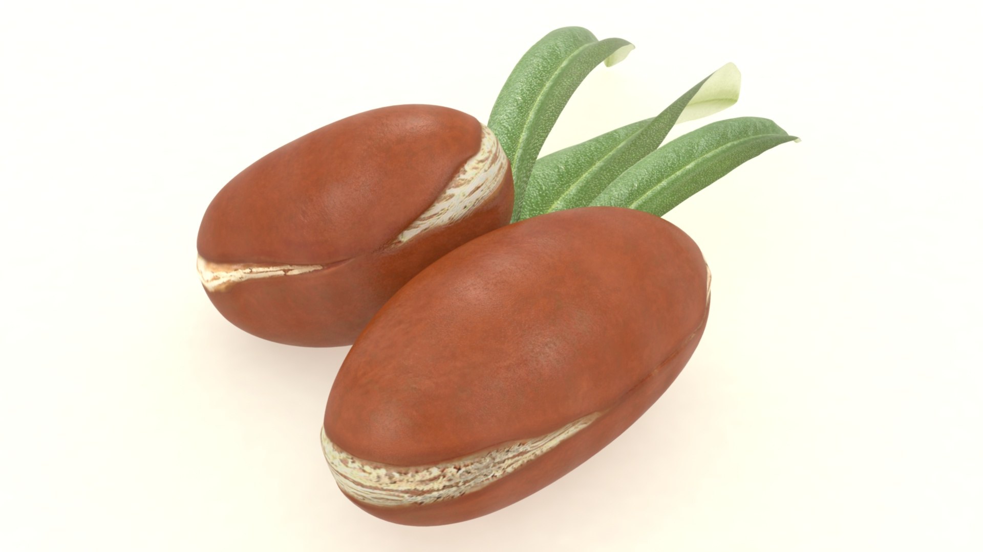 3D Arganseed cosmetics with leaf https://p.turbosquid.com/ts-thumb/Ry/unkCTs/2V/5/jpg/1619694766/1920x1080/fit_q87/fbc0b9d939f200e1a5a02e8ee3329d29c63f29c9/5.jpg