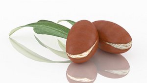 3D Arganseed cosmetics with leaf