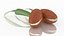 Argan seed cosmetics nut with leaf decor advertising herb