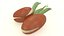 Argan seed cosmetics nut with leaf decor advertising herb