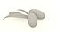 Argan seed cosmetics nut with leaf decor advertising herb