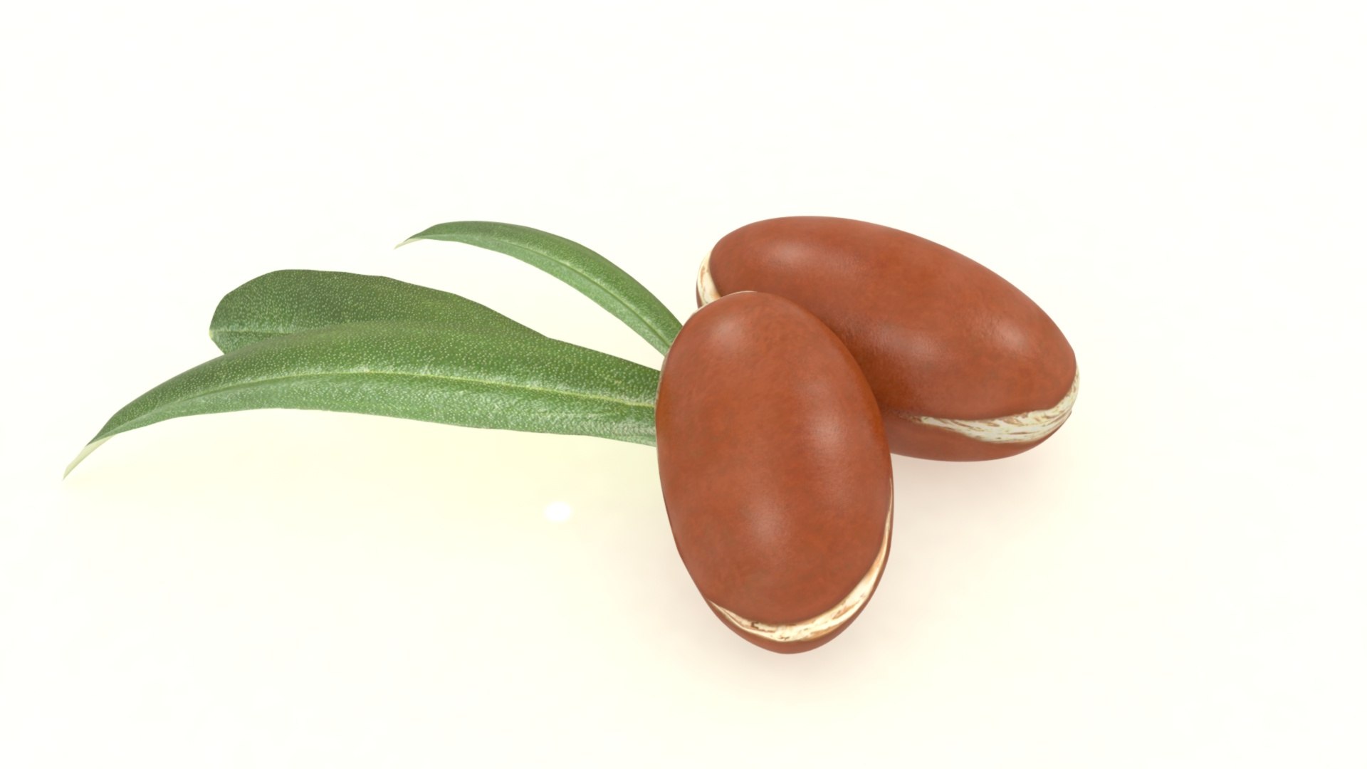 3D Arganseed cosmetics with leaf https://p.turbosquid.com/ts-thumb/Ry/unkCTs/tM/3/jpg/1619694771/1920x1080/fit_q87/8efbeadf99bb7d3fd477c873c49304ac17e42954/3.jpg