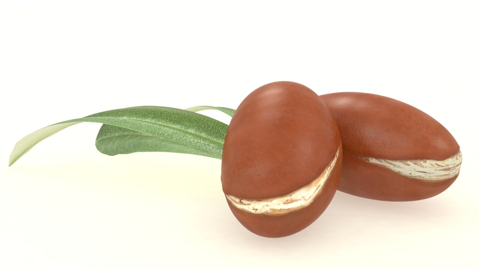 3D Arganseed cosmetics with leaf https://p.turbosquid.com/ts-thumb/Ry/unkCTs/vR/4/jpg/1619694766/1920x1080/fit_q87/71f942ab7ae8bda28977addface3ae2da3e3e48f/4.jpg