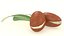 Argan seed cosmetics nut with leaf decor advertising herb