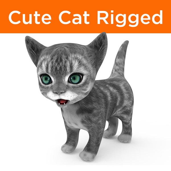 cute cartoon cat rigged 3D model