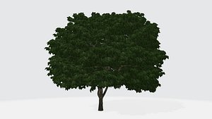 3D model Low green tree