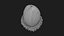 Acorn 02