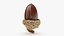 Acorn 02