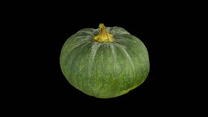 3D Green pumpkin