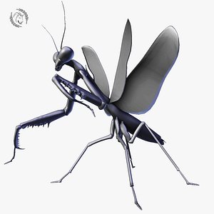 3D praying mantis