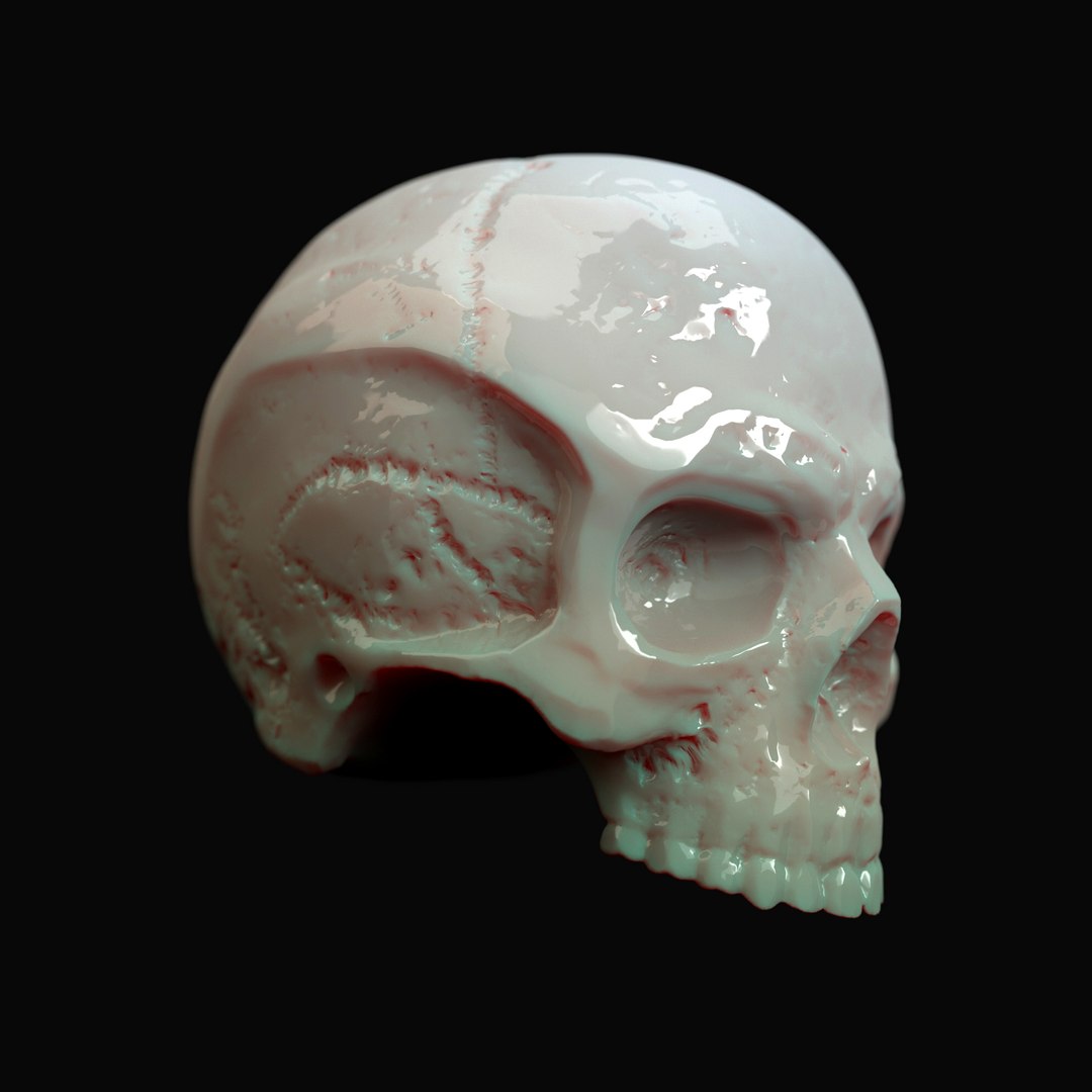 human skull 3D model https://p.turbosquid.com/ts-thumb/Rz/RnQwag/DhtZBzwA/skull_06/jpg/1512155082/1920x1080/fit_q87/efa6c18d8f2f1af9759cc6243fc2b4bf64eb4462/skull_06.jpg