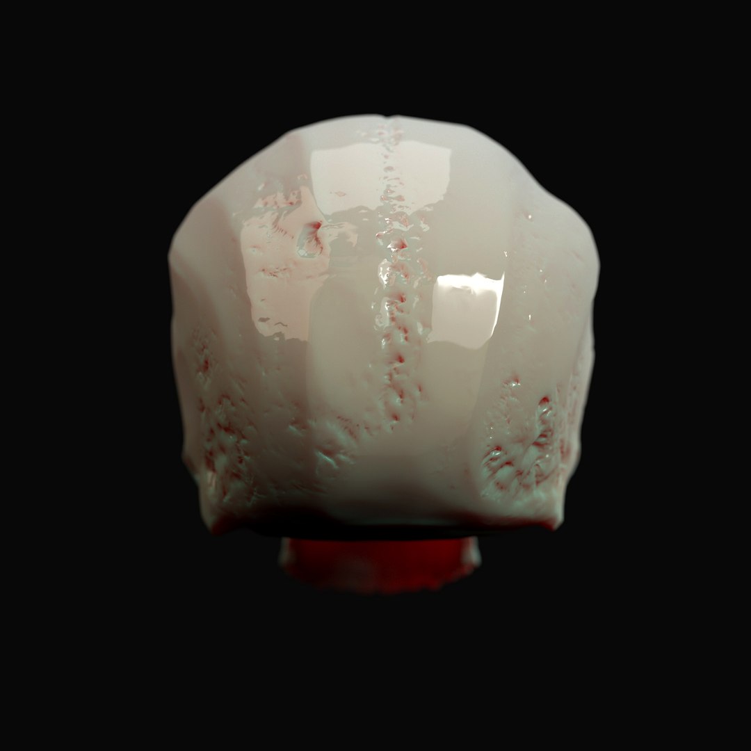 human skull 3D model https://p.turbosquid.com/ts-thumb/Rz/RnQwag/Mf6nfvky/skull_03/jpg/1512155040/1920x1080/fit_q87/5eef5ec7f85e22fdb4dfd6d419751441ebecd416/skull_03.jpg