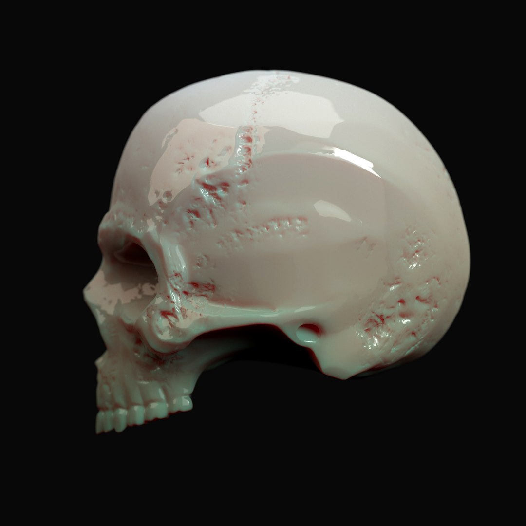 human skull 3D model https://p.turbosquid.com/ts-thumb/Rz/RnQwag/SIncyTwB/skull_02/jpg/1512155030/1920x1080/fit_q87/40db903f2ad0e81952567f96d4080a62167ab481/skull_02.jpg