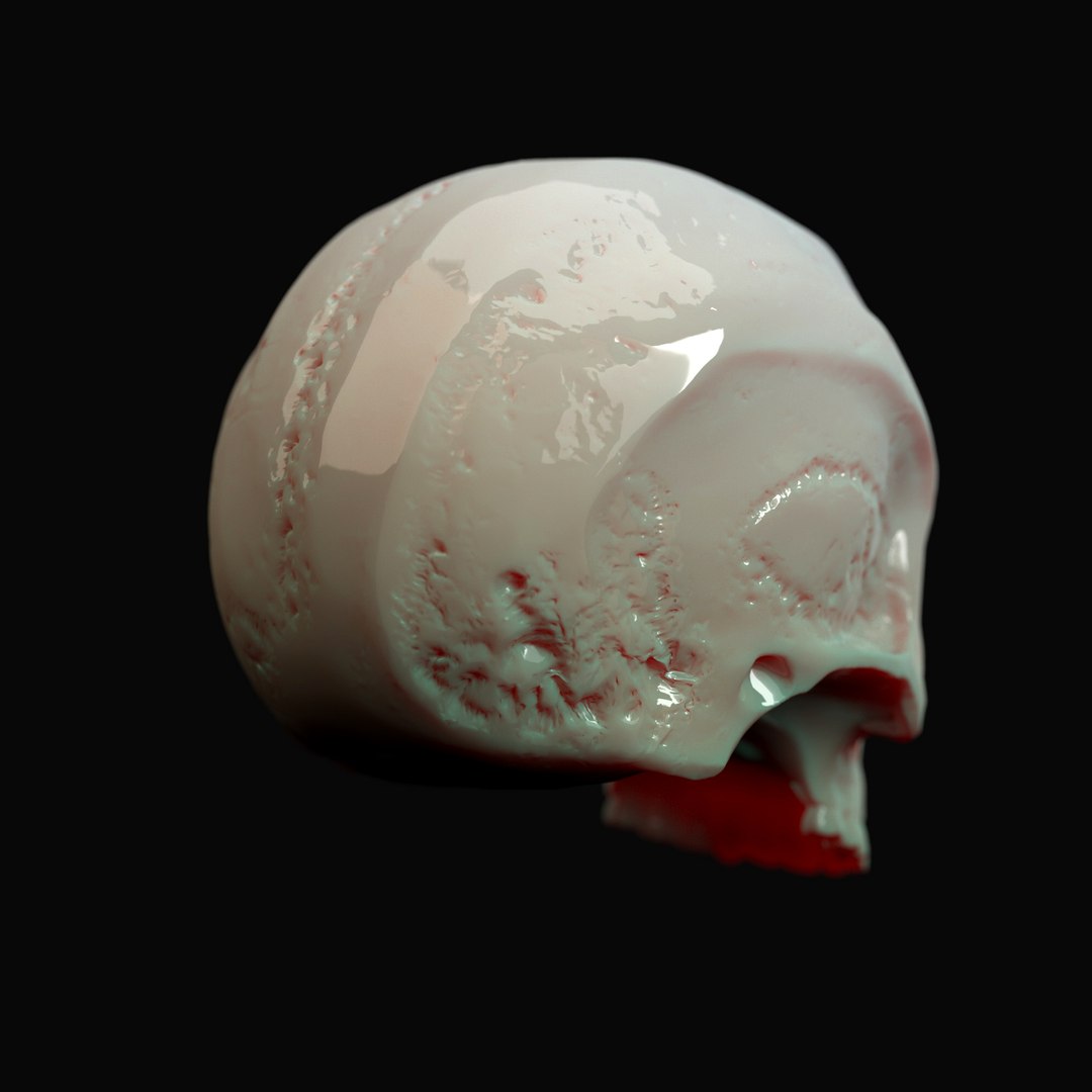 human skull 3D model https://p.turbosquid.com/ts-thumb/Rz/RnQwag/VTvKh53j/skull_04/jpg/1512155054/1920x1080/fit_q87/caa14912121ff5d733fa4323e7b4a4ffc93de653/skull_04.jpg
