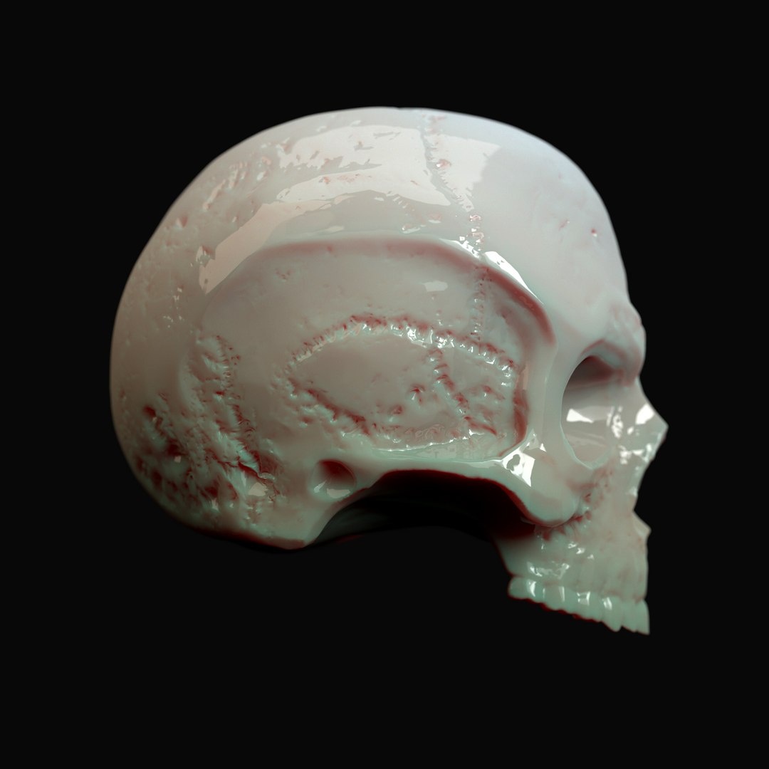 human skull 3D model https://p.turbosquid.com/ts-thumb/Rz/RnQwag/gWP9s6fB/skull_05/jpg/1512155068/1920x1080/fit_q87/0415ff3b55c5f36b52fc345a479a7e8f763cfa08/skull_05.jpg