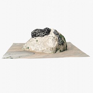 3D model Rock 3D Scan 29