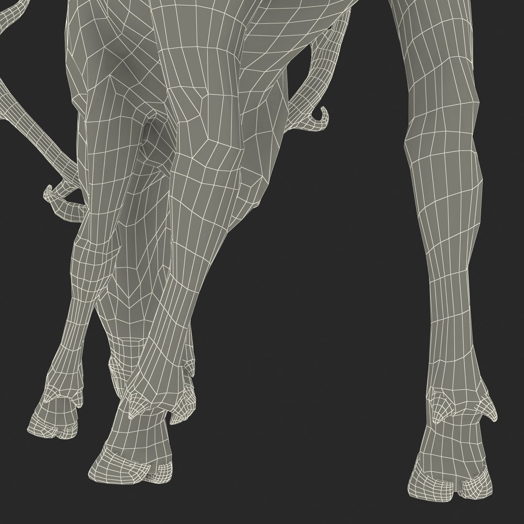 3ds max elk pose 3 https://p.turbosquid.com/ts-thumb/Rz/ya8Rdl/LlRGYeVd/elk3dsmodel33/jpg/1447699247/1920x1080/fit_q87/010095080e69b858248466f3565c92cb280ca295/elk3dsmodel33.jpg