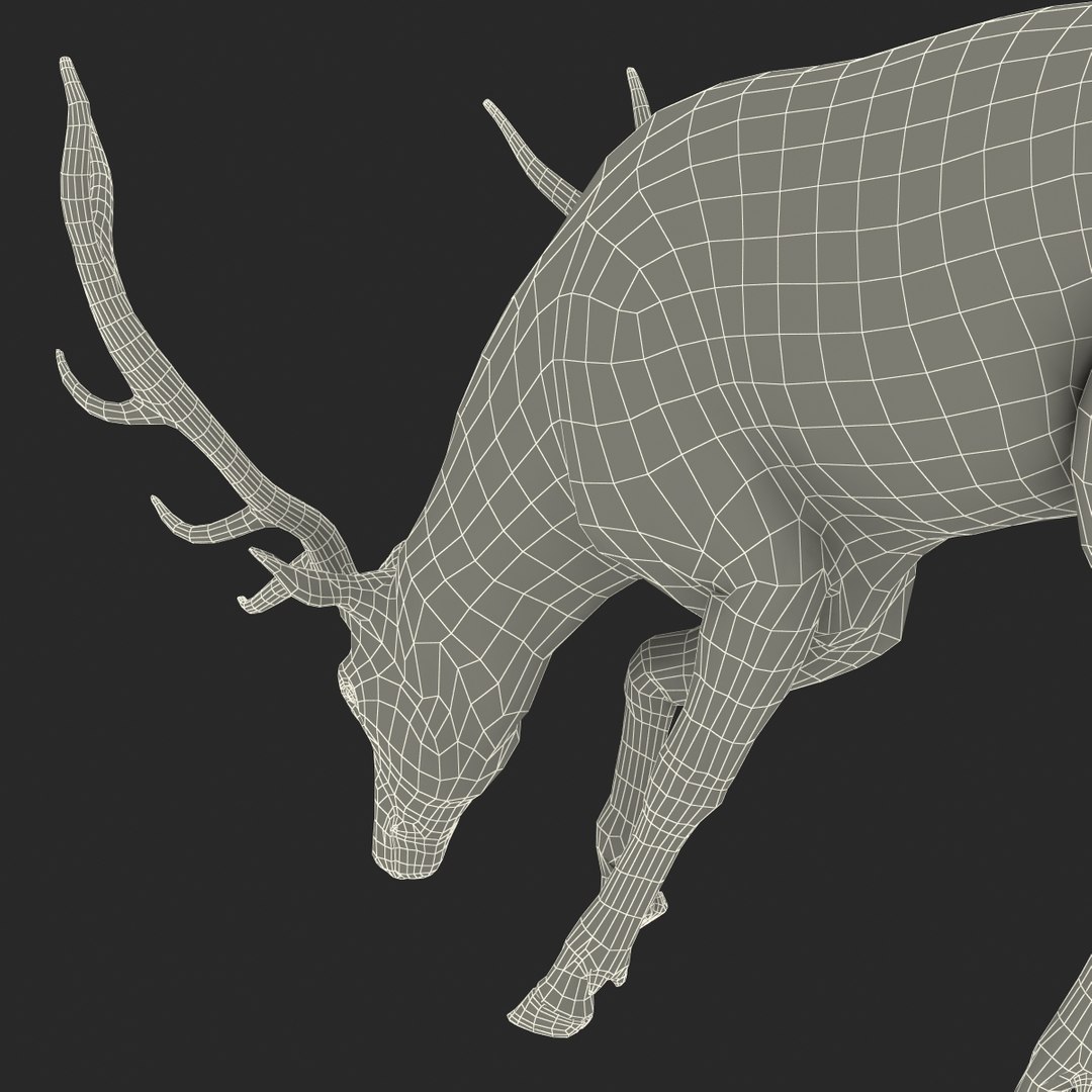 3ds max elk pose 3 https://p.turbosquid.com/ts-thumb/Rz/ya8Rdl/T13Ghq6w/elk3dsmodel32/jpg/1447699247/1920x1080/fit_q87/aa15c8eafacd90439f6da785505fb56aa11e574b/elk3dsmodel32.jpg