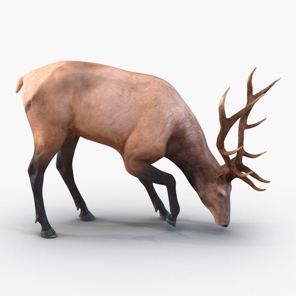 3ds max elk pose 3