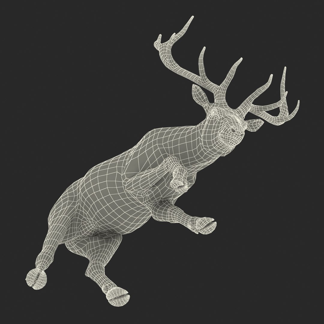3ds max elk pose 3 https://p.turbosquid.com/ts-thumb/Rz/ya8Rdl/XSgBGWgQ/elk3dsmodel31/jpg/1447699247/1920x1080/fit_q87/b39d15d268b96ee01ccb655399509e23e24b7650/elk3dsmodel31.jpg
