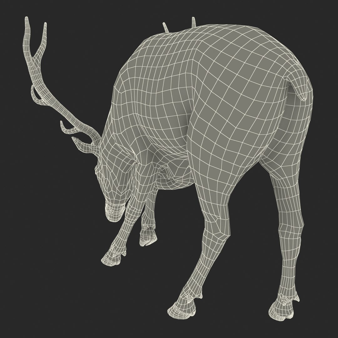 3ds max elk pose 3 https://p.turbosquid.com/ts-thumb/Rz/ya8Rdl/ap9nRdJM/elk3dsmodel30/jpg/1447699247/1920x1080/fit_q87/5066edb9d14b9684512b6815d70f84159ff2c528/elk3dsmodel30.jpg