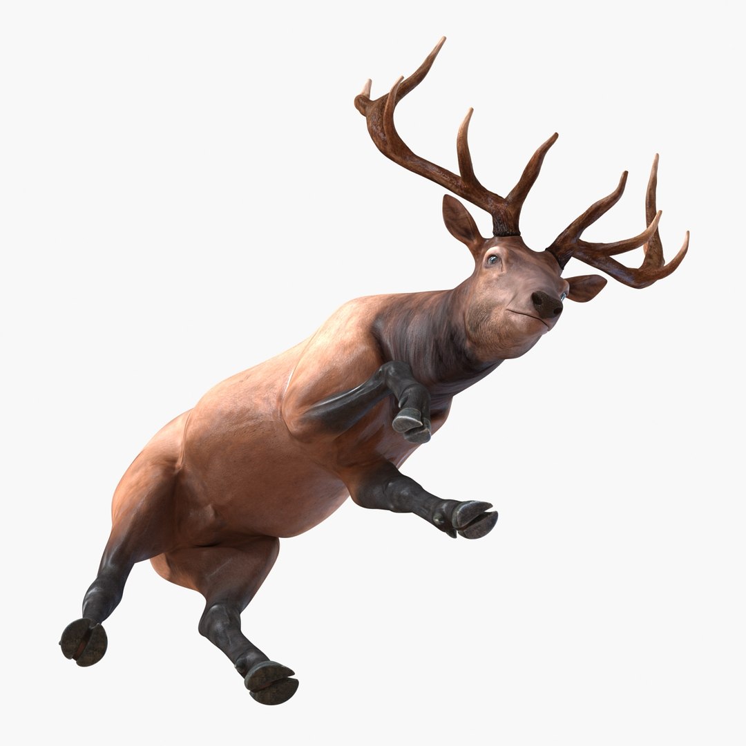 3ds max elk pose 3 https://p.turbosquid.com/ts-thumb/Rz/ya8Rdl/iwSlEq6S/elk3dsmodel13/jpg/1447699245/1920x1080/fit_q87/3212d47b9435a38a357afdcf409cd29a53d1c759/elk3dsmodel13.jpg