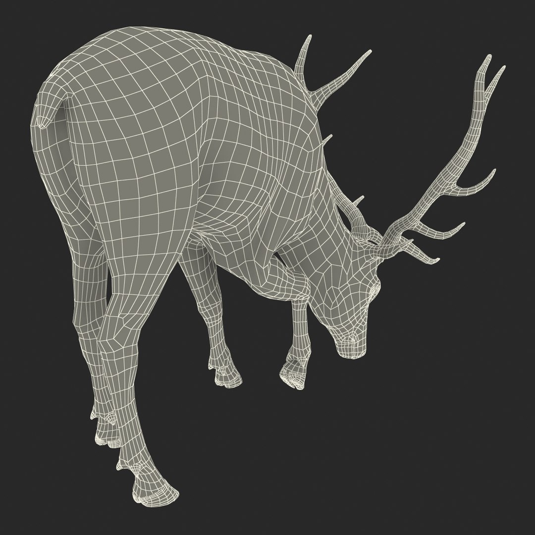 3ds max elk pose 3 https://p.turbosquid.com/ts-thumb/Rz/ya8Rdl/kEabNc6m/elk3dsmodel29/jpg/1447699247/1920x1080/fit_q87/102a54fc6f14e551b3b9f2d0d7068642d64e8165/elk3dsmodel29.jpg