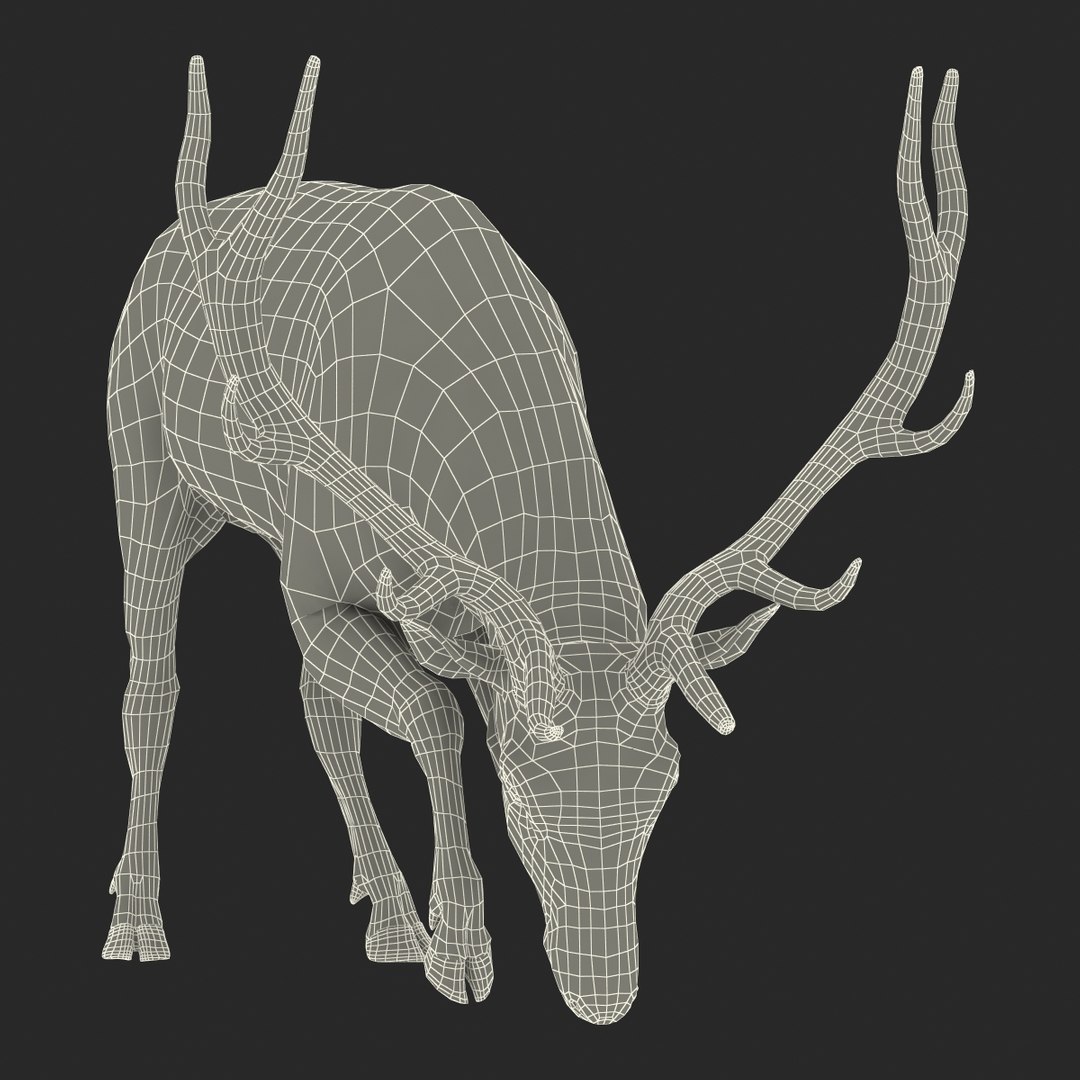 3ds max elk pose 3 https://p.turbosquid.com/ts-thumb/Rz/ya8Rdl/tzRhxrqF/elk3dsmodel27/jpg/1447699246/1920x1080/fit_q87/8c33d1830f7127b6ab8239382acc7fd096729ed8/elk3dsmodel27.jpg