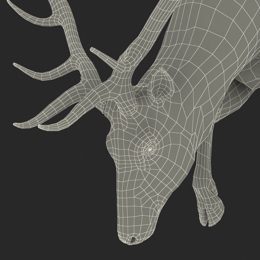 3ds max elk pose 3 https://p.turbosquid.com/ts-thumb/Rz/ya8Rdl/yW5TvRr6/elk3dsmodel34/jpg/1447699247/1920x1080/fit_q87/9a53342ccbc34ebda82e1983fb047a33ceb56dd0/elk3dsmodel34.jpg