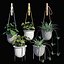 plant set