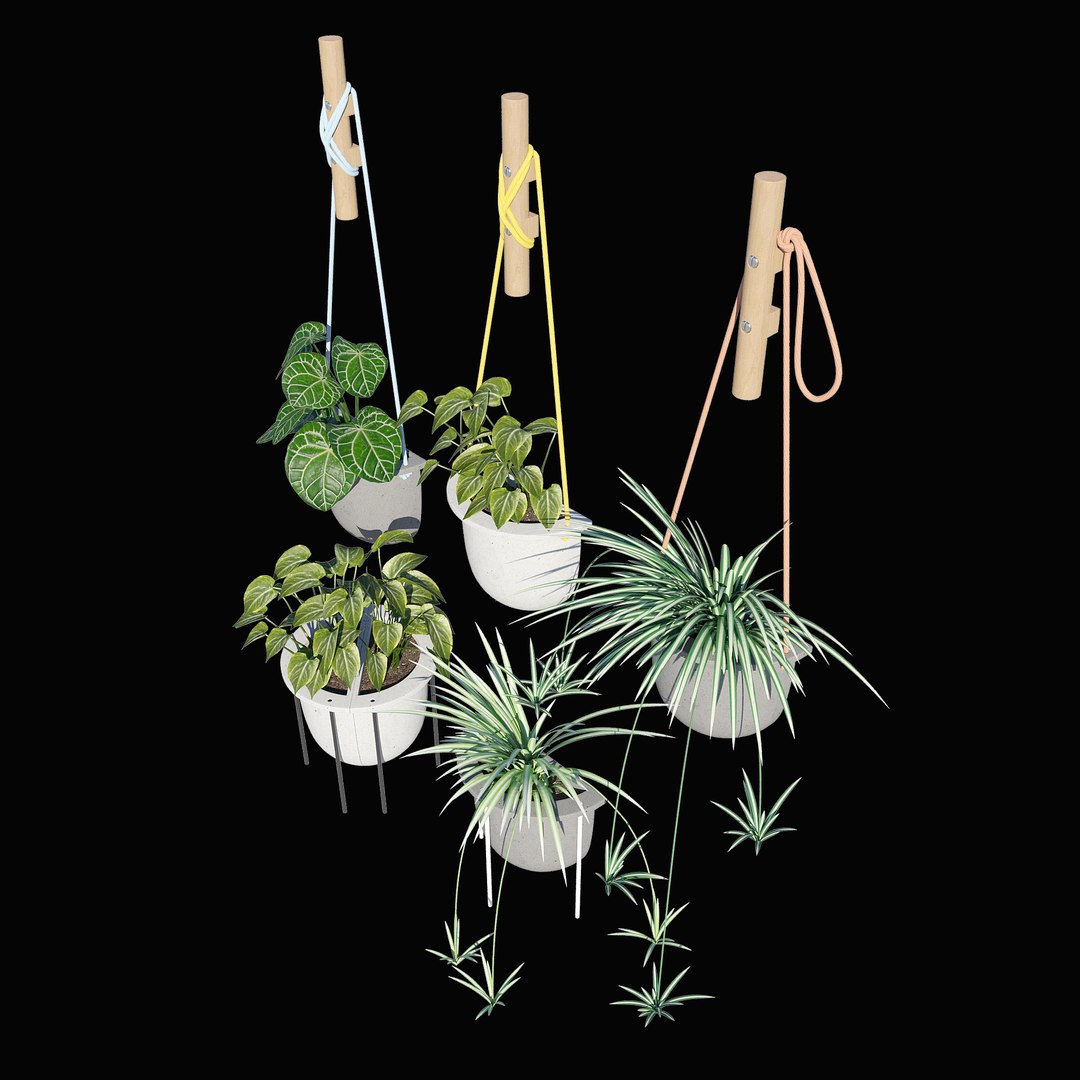 plant set 3D model https://p.turbosquid.com/ts-thumb/S0/0LYyif/M7OecD4U/5/jpg/1494068078/1920x1080/fit_q87/aa30713b7aa2a792b33ff36f5208bfd02996e5d4/5.jpg