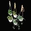 plant set
