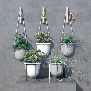 plant set 3D model
