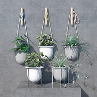 plant set