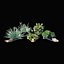 plant set