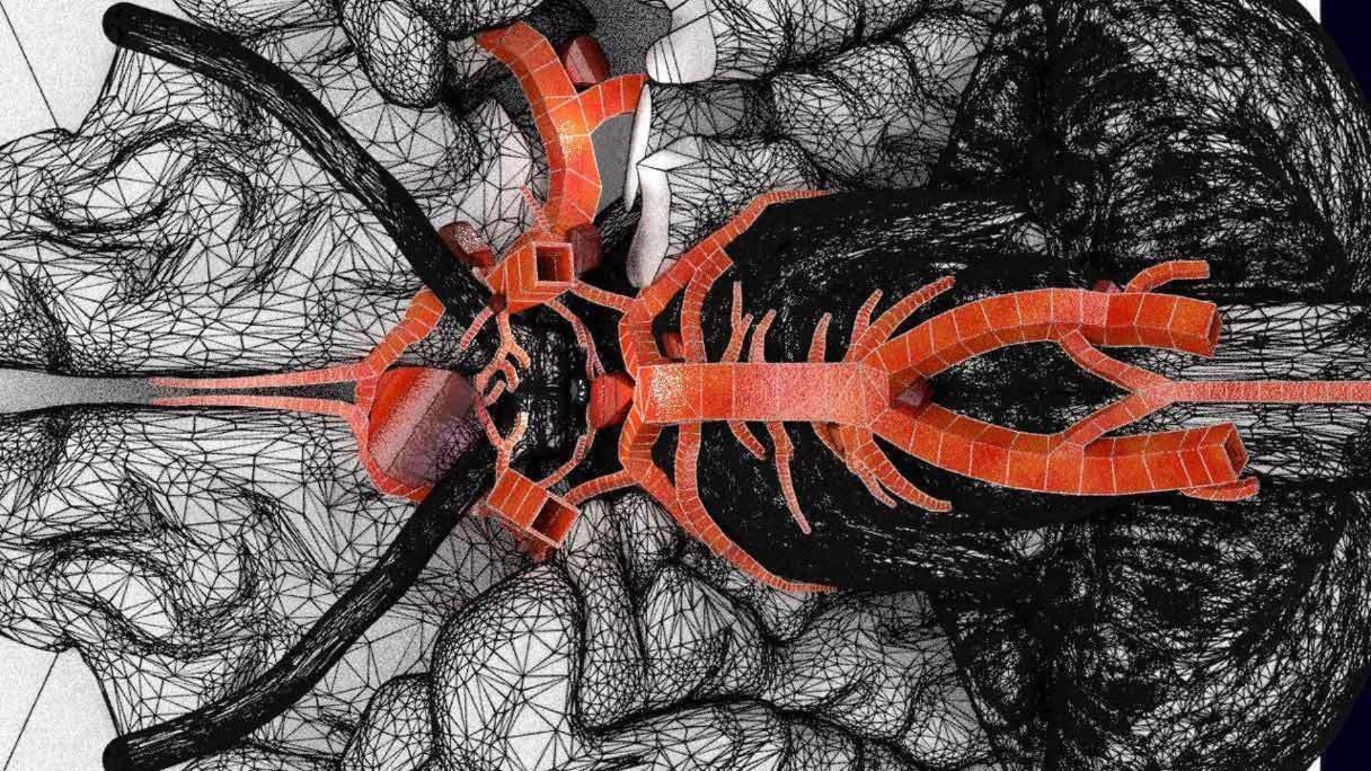 Cerebral aneurysms berry circle of willis 3D model https://p.turbosquid.com/ts-thumb/S0/8AcZxw/WP/14/jpg/1679588180/1920x1080/fit_q87/629a36ce79ef52e26b752282887ba372aa4b4e17/14.jpg