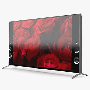 Modern Flat Screen Television
