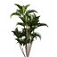 Bundle 04 – Resort plants
