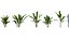 Bundle 04 – Resort plants