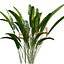Bundle 04 – Resort plants