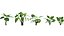 Bundle 04 – Resort plants