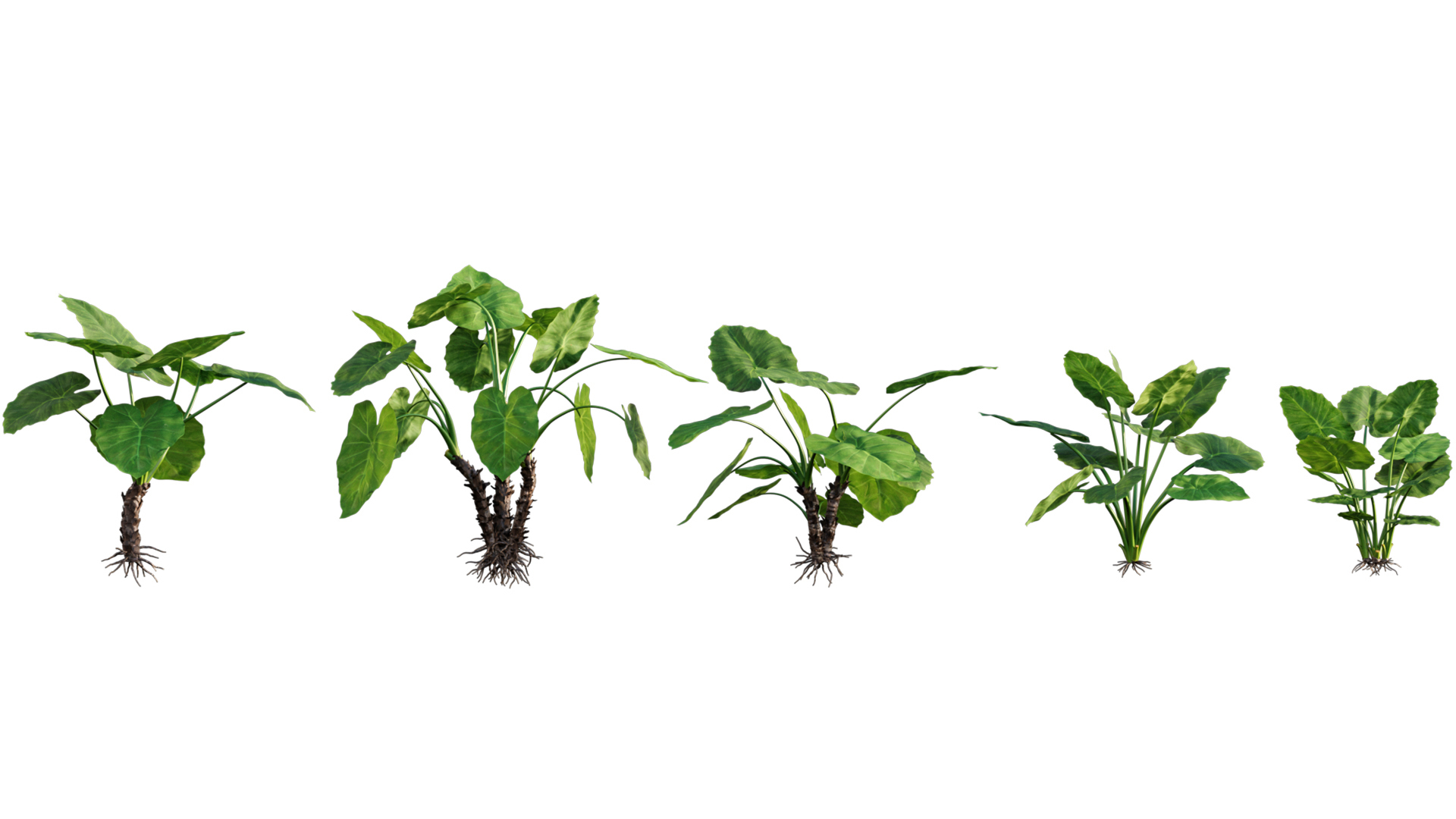 Bundle 04  Resort plants 3D model https://p.turbosquid.com/ts-thumb/S0/GnskD1/7v/04/jpg/1621332894/1920x1080/turn_fit_q99/e19d753b878cb994549730c8fee5d2d36aee4677/04-1.jpg