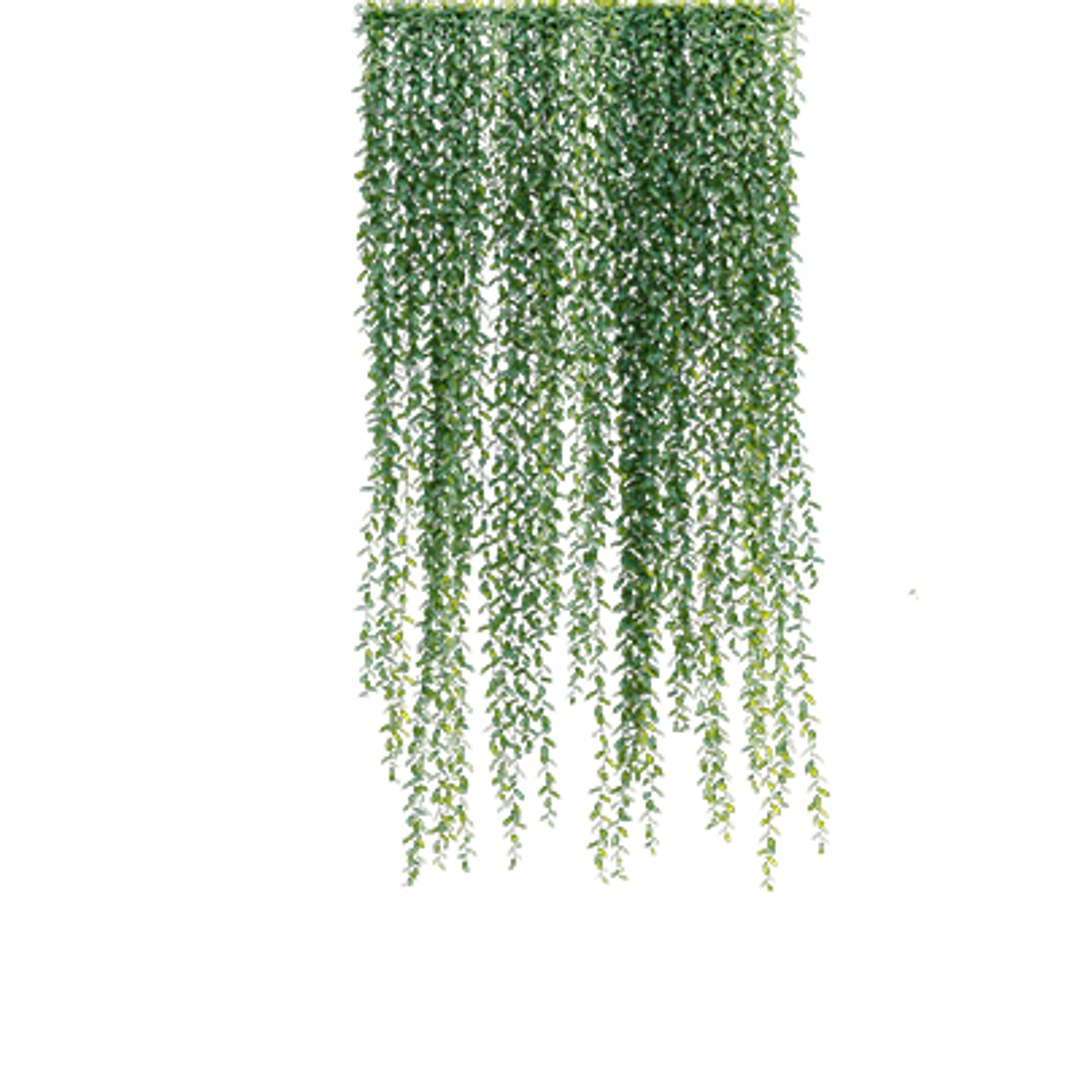 Bundle 04  Resort plants 3D model https://p.turbosquid.com/ts-thumb/S0/GnskD1/Nk/3dtree_curtaincreeper_03/jpg/1621336559/1920x1080/fit_q87/ac4879cf56cfc0d4ee898405e85d53da7fc1d485/3dtree_curtaincreeper_03.jpg