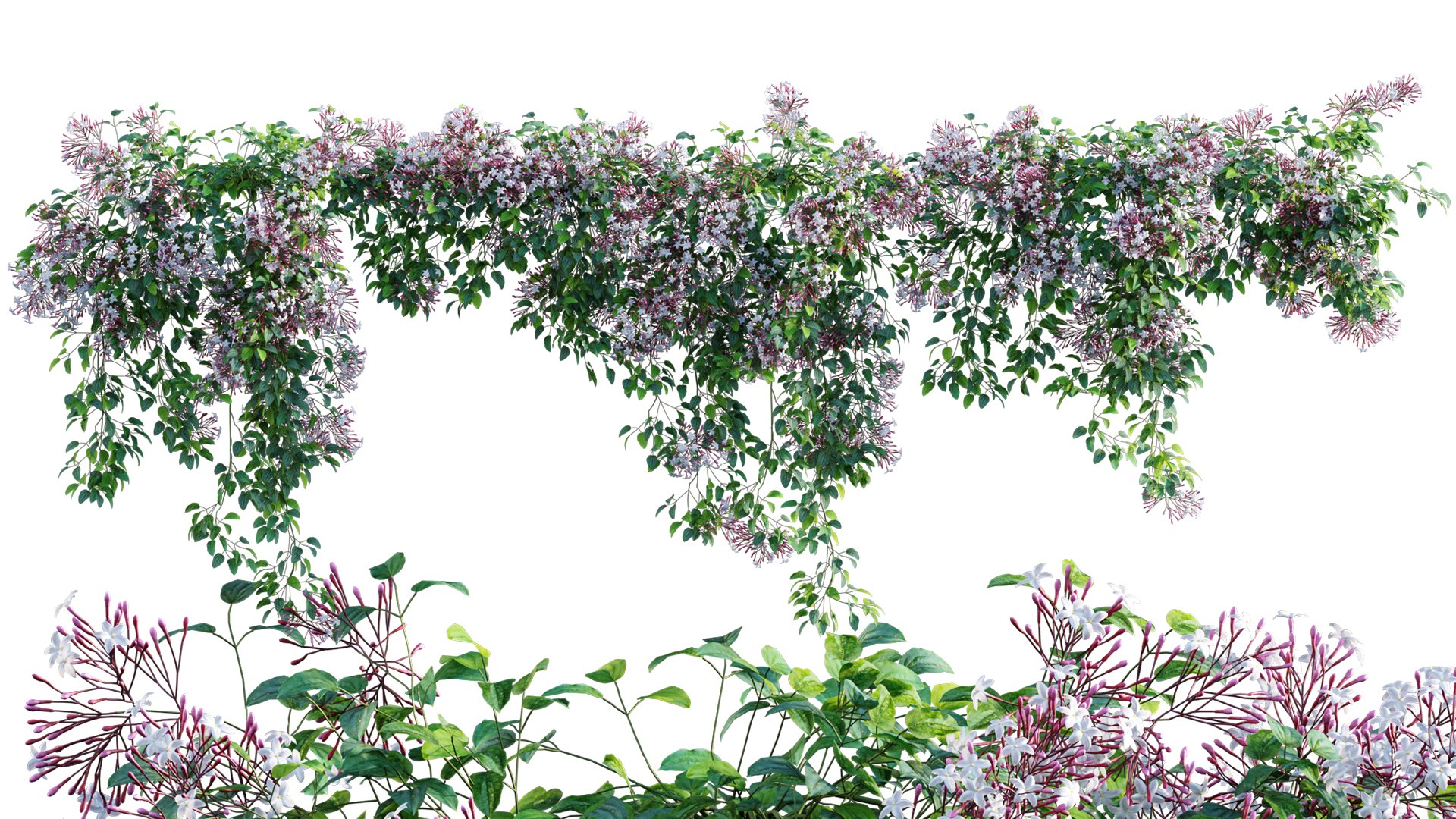 Bundle 04  Resort plants 3D model https://p.turbosquid.com/ts-thumb/S0/GnskD1/Om/3dtree_jasminum_v1/jpg/1621333150/1920x1080/fit_q87/3b9e8f3ee2ec6dcb906a5a373086c6c63b465a3d/3dtree_jasminum_v1.jpg