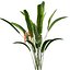Bundle 04 – Resort plants