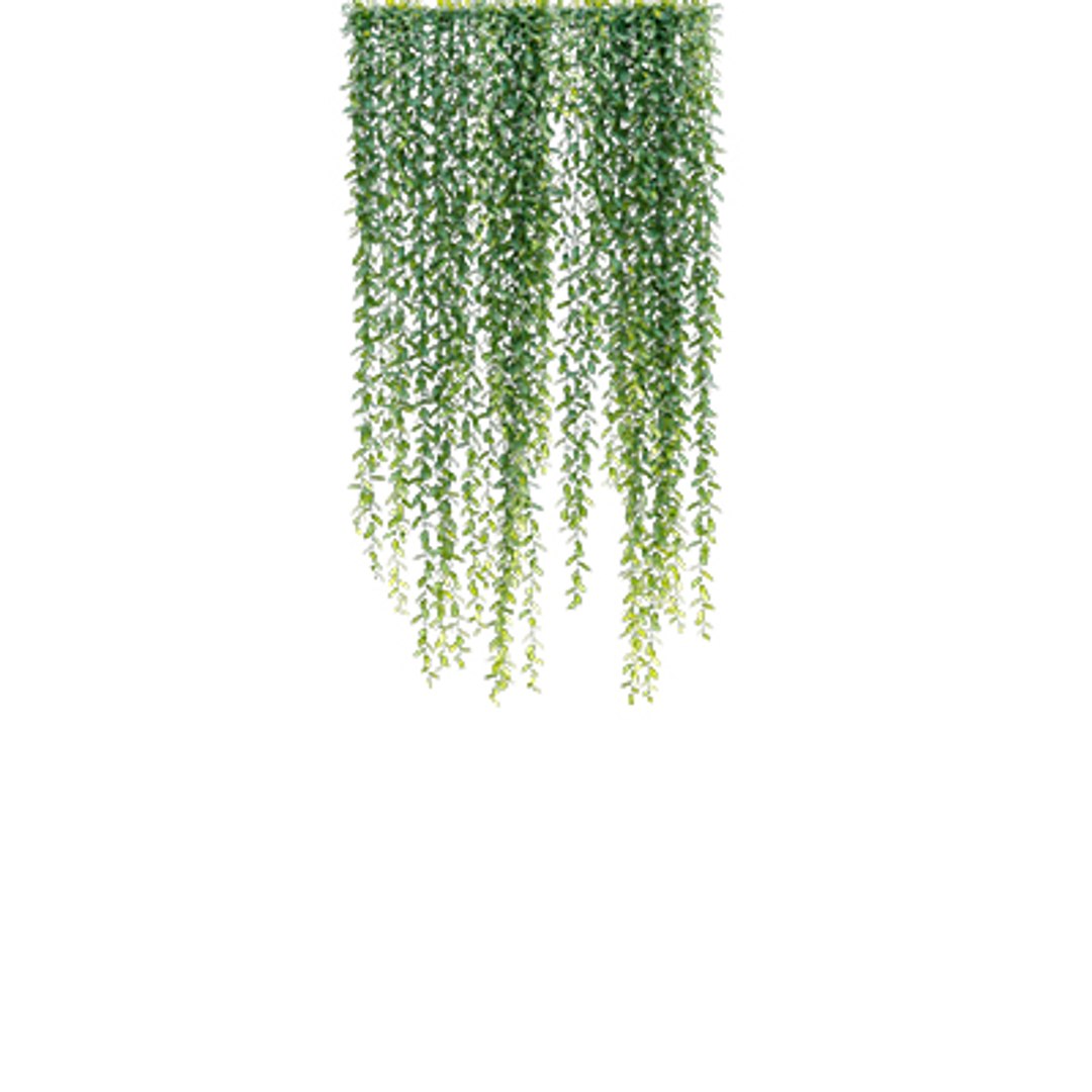 Bundle 04  Resort plants 3D model https://p.turbosquid.com/ts-thumb/S0/GnskD1/T5/3dtree_curtaincreeper_02/jpg/1621336556/1920x1080/fit_q87/af3f9164c4f574edc29a0af9ef4c8851dc8a277b/3dtree_curtaincreeper_02.jpg