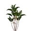 Bundle 04 – Resort plants