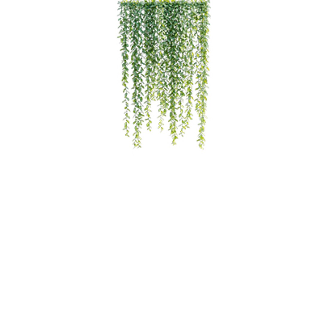 Bundle 04  Resort plants 3D model https://p.turbosquid.com/ts-thumb/S0/GnskD1/Y8/3dtree_curtaincreeper_01/jpg/1621336546/1920x1080/fit_q87/26d8e5496d21947ab44b829ac82e7fe3dd2785ee/3dtree_curtaincreeper_01.jpg
