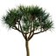 Bundle 04 – Resort plants